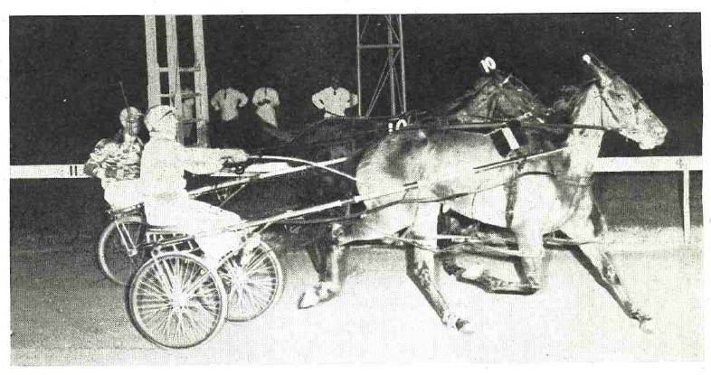 Wayback Wednesday Newcastle Harness Racing Club