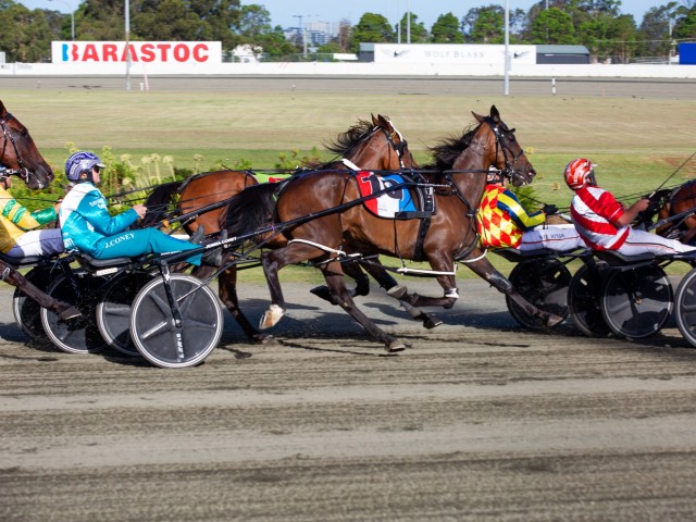 Day racing teal pants